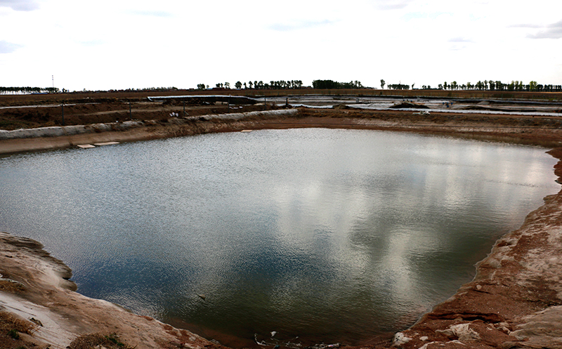 锦鲤鱼批发|苏州锦鲤价格|锦鲤养殖方式